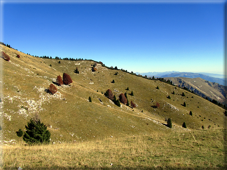 foto Mulatiera del Covolo